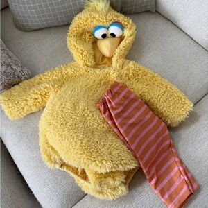 Pottery Barn Kids Big Bird Costume